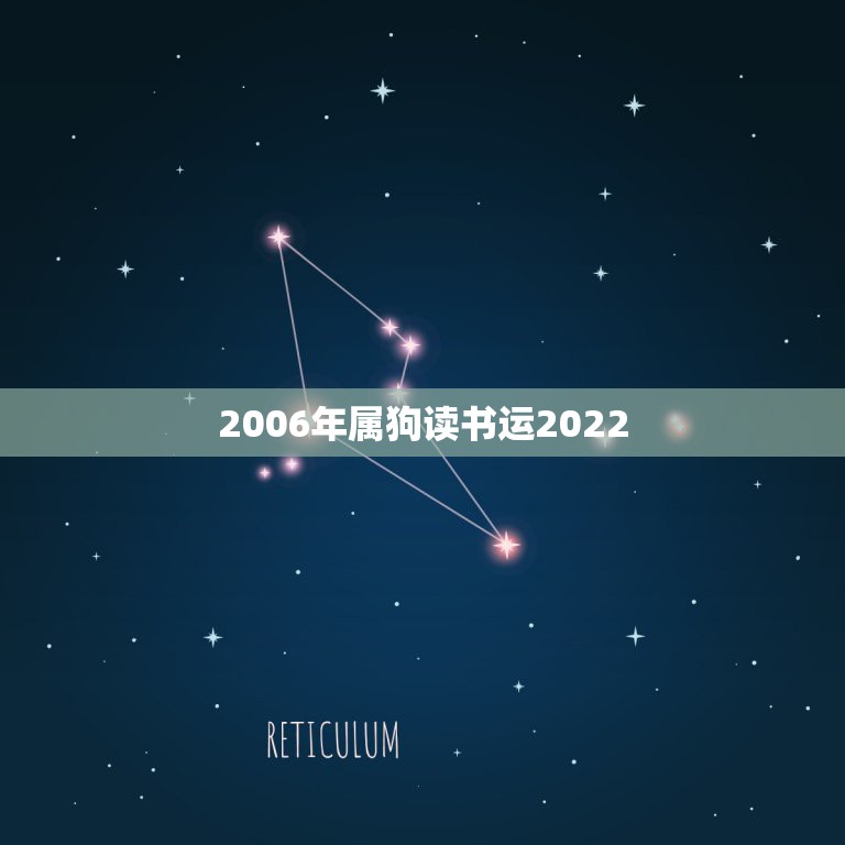 2006年属狗读书运2022，属狗人2022年全年运势如何  第1张