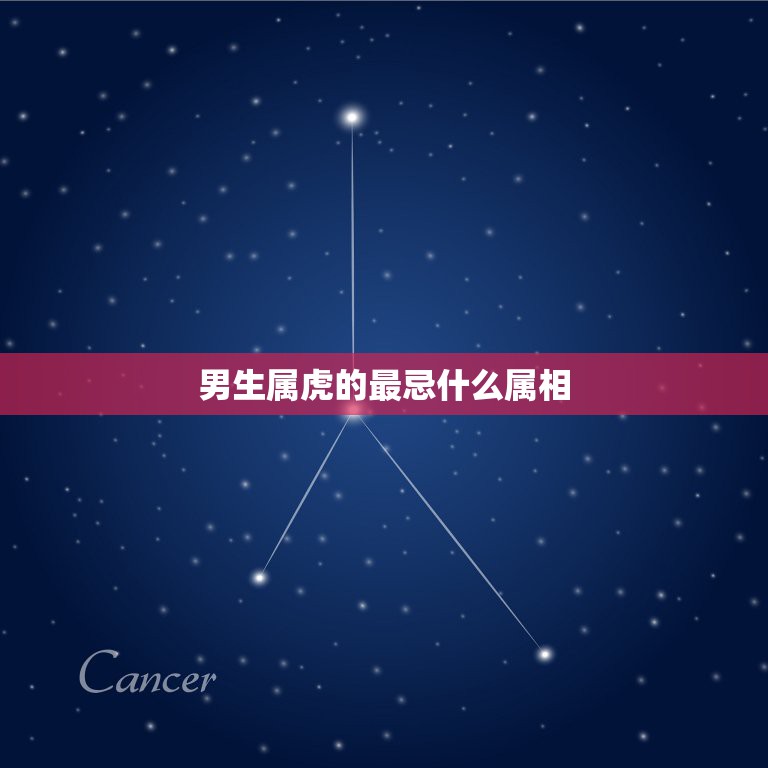 男生属虎的最忌什么属相，男属虎的和什么属相最配  第1张