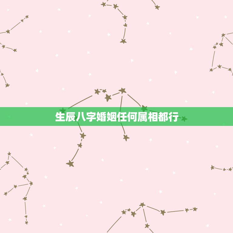 生辰八字婚姻任何属相都行，算婚姻是只看属相吗？不用生辰八字吗？  第1张