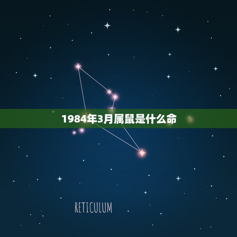 1984年3月属鼠是什么命，1984年生人属鼠是什么命  第1张