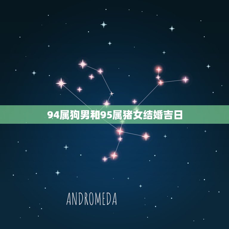 94属狗男和95属猪女结婚吉日，94属狗的与95属猪的结婚好吗  第1张