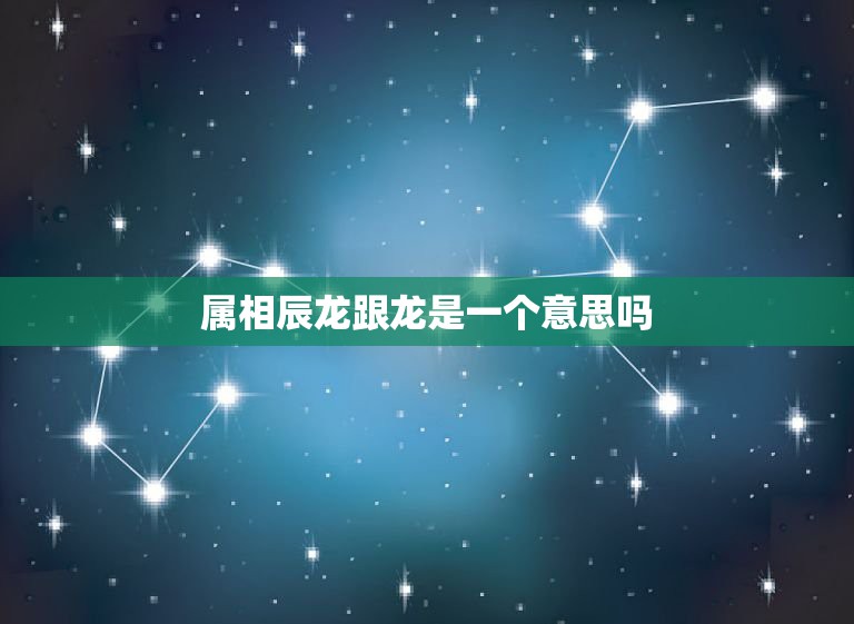 属相辰龙跟龙是一个意思吗，属龙的和什么属相最配  第1张