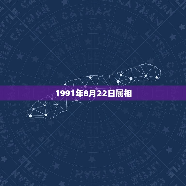 1991年8月22日属相，1991年属羊女8月22生日的命运  第1张