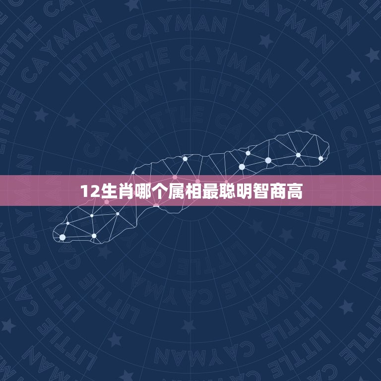 12生肖哪个属相最聪明智商高，十二生肖谁最聪明智慧  第1张