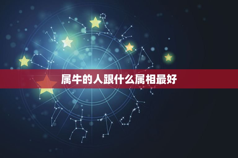 属牛的人跟什么属相最好，属牛和什么属相最配  第1张