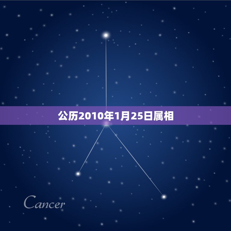 公历2010年1月25日属相，公历2004年1月25日出生的小孩农历应  第1张