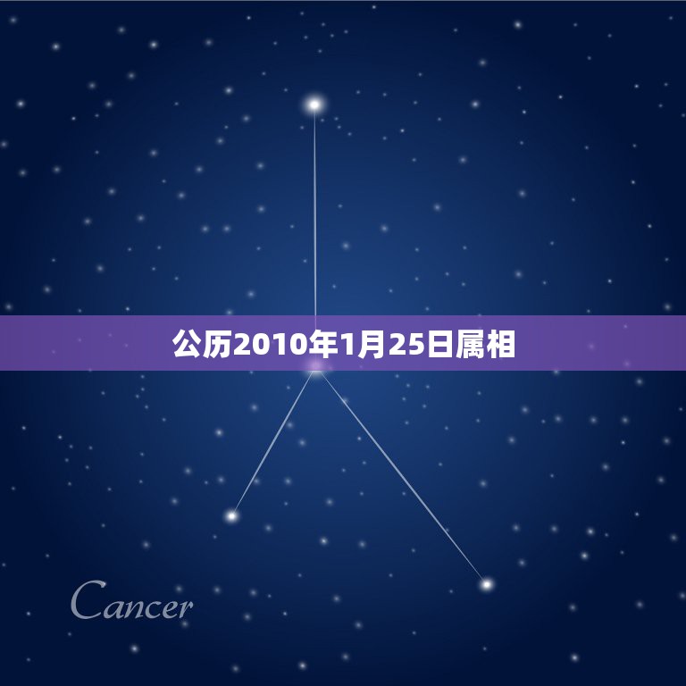 公历2010年1月25日属相，公历2004年1月25日出生的小孩农历应