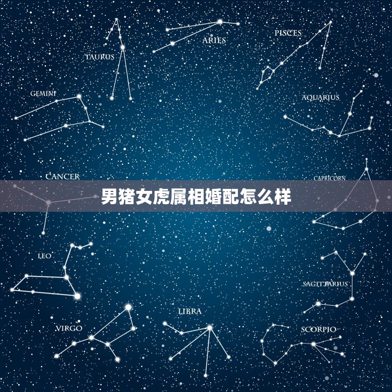 男猪女虎属相婚配怎么样，属兔的属相婚配表是怎样的？  第1张