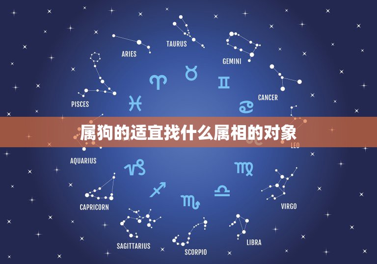 属狗的适宜找什么属相的对象，属狗找属什么生肖结婚好？  第1张