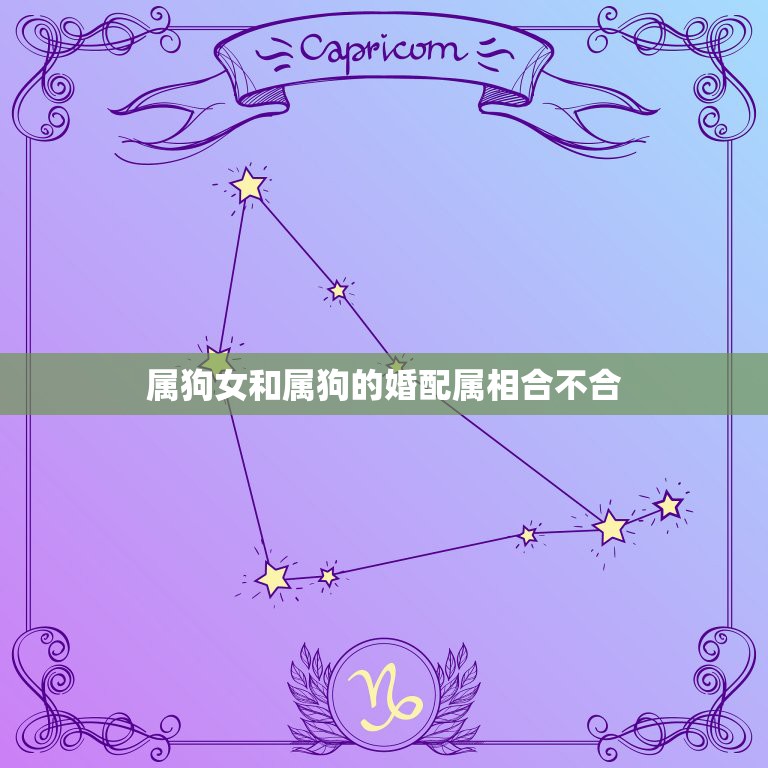 属狗女和属狗的婚配属相合不合，属狗女婚姻和什么属相配  第1张