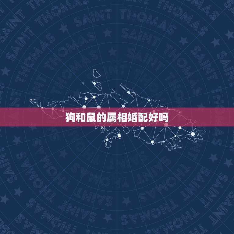 狗和鼠的属相婚配好吗，鼠和属狗适合做夫妻吗 属相婚配鼠配狗合不合  第1张
