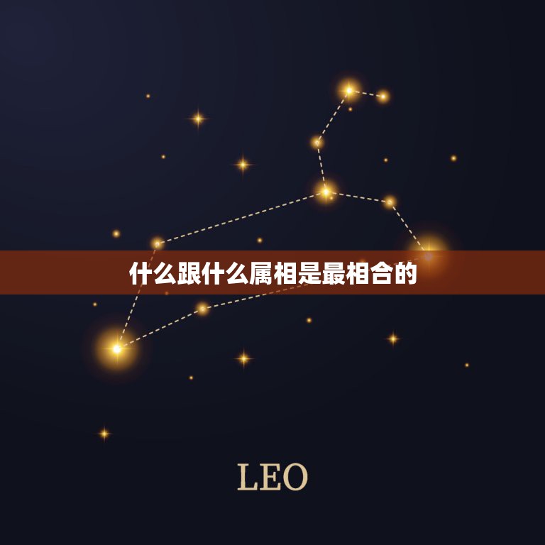什么跟什么属相是最相合的，猪和什么属相最配  第1张