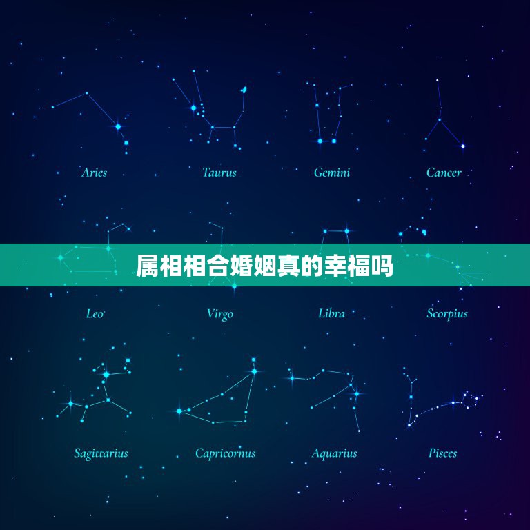 属相相合婚姻真的幸福吗，生肖属相不合婚姻就不幸福吗  第1张