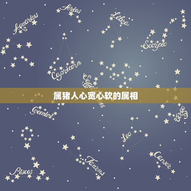 属猪人心宽心软的属相，十二生肖中哪个属相最好  第1张