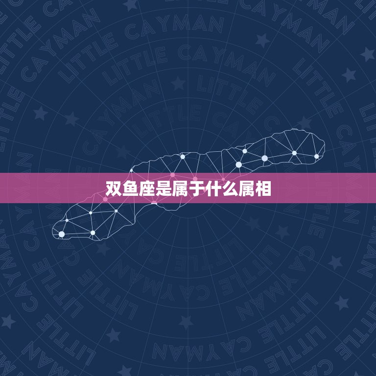 双鱼座是属于什么属相，双鱼座是什么属相的星座？  第1张