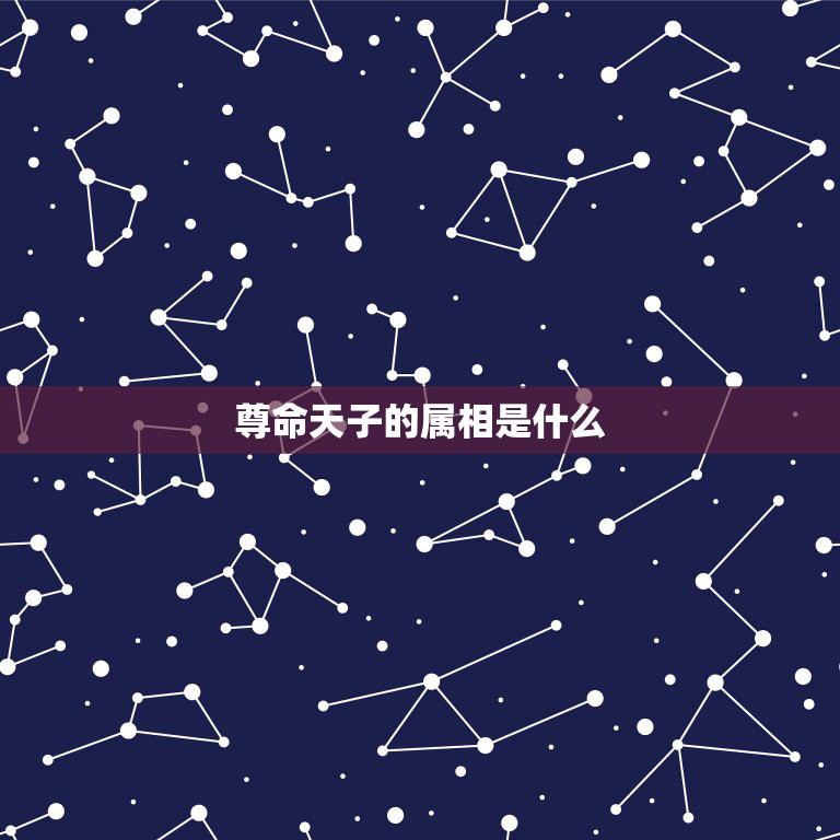尊命天子的属相是什么，令与尊的区别  第1张