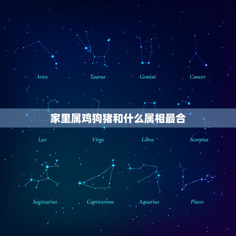 家里属鸡狗猪和什么属相最合，猪和什么属相最配  第1张