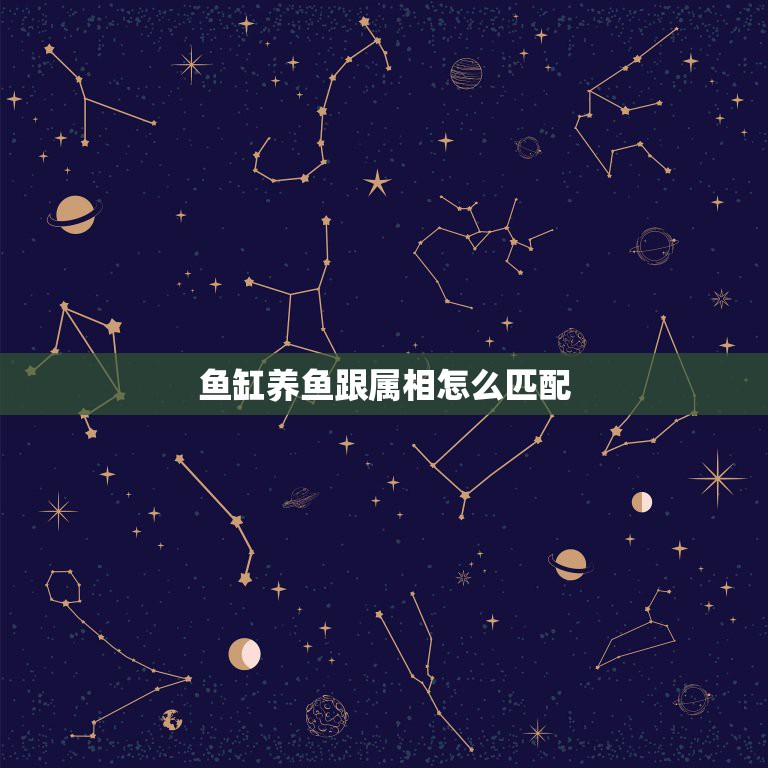 鱼缸养鱼跟属相怎么匹配，养鱼风水  第1张