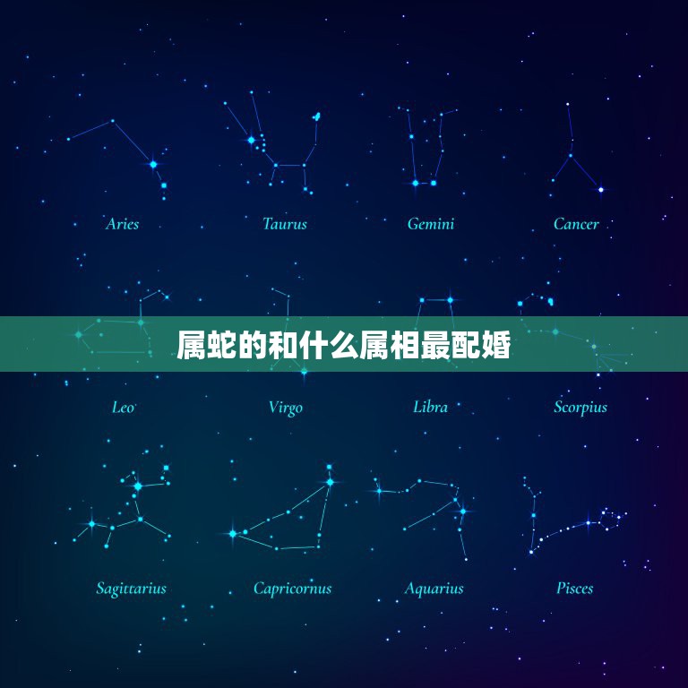 属蛇的和什么属相最配婚，十二生肖中什么与蛇相配  第1张