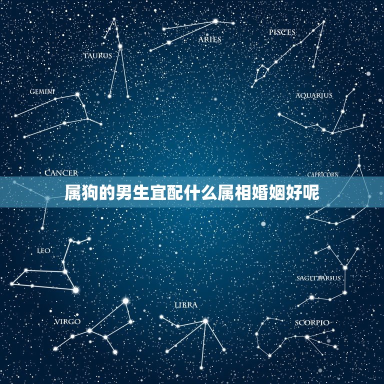 属狗的男生宜配什么属相婚姻好呢，属狗和什么属相最配 属狗的属相婚配表大  第1张