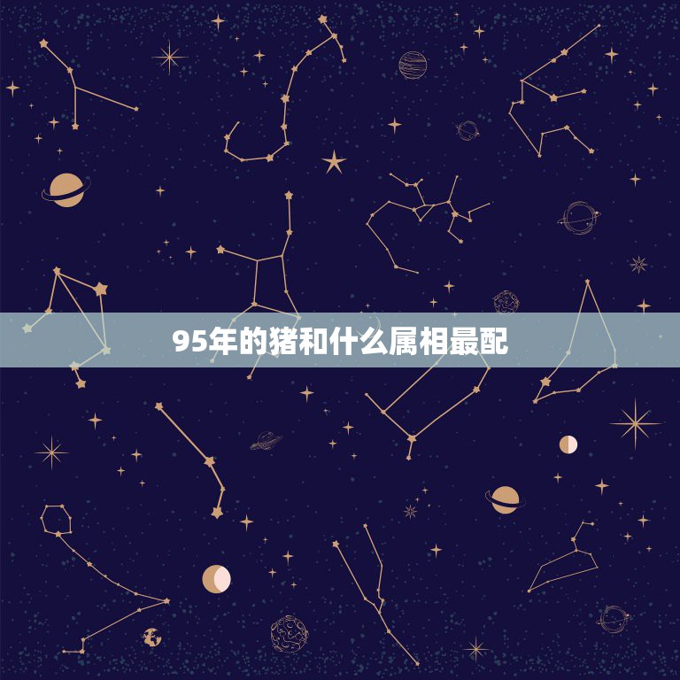 95年的猪和什么属相最配，95年的人适合早婚还是晚婚  第1张