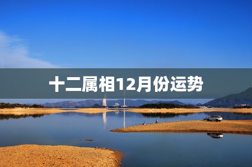 十二属相12月份运势，十二生肖每月运势与方向  第1张