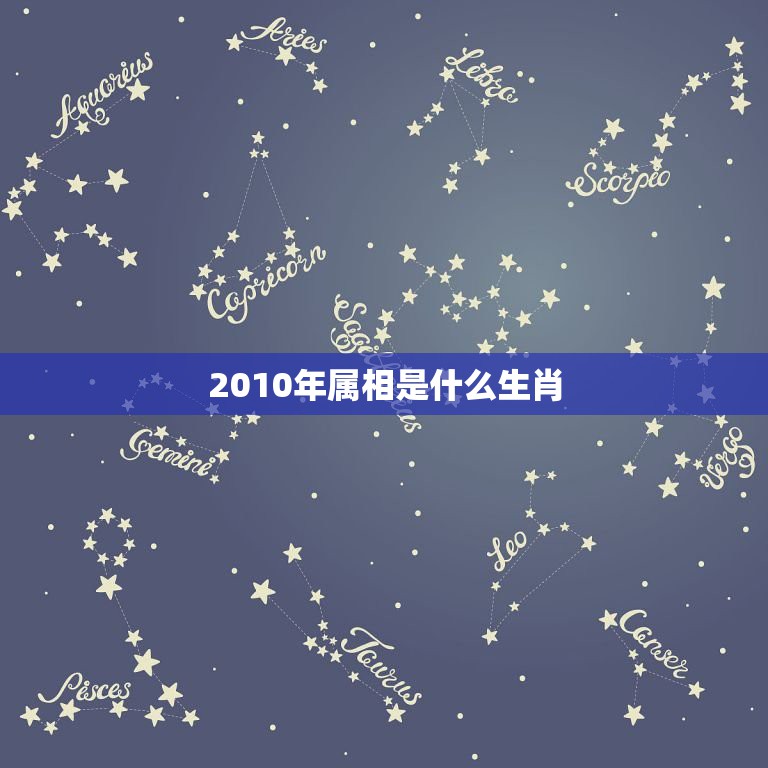 2010年属相是什么生肖，2010年是属什么生肖  第1张