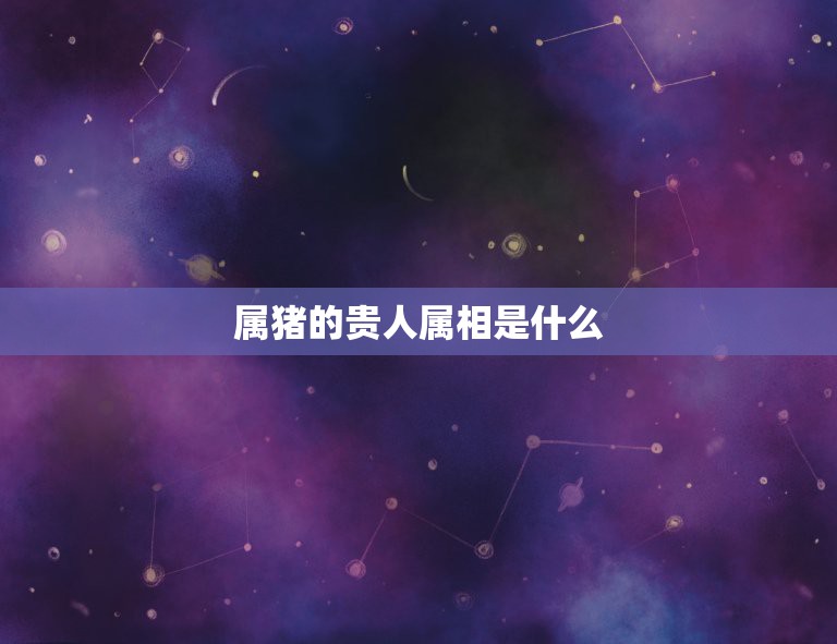 属猪的贵人属相是什么，属猪的三大贵人  第1张