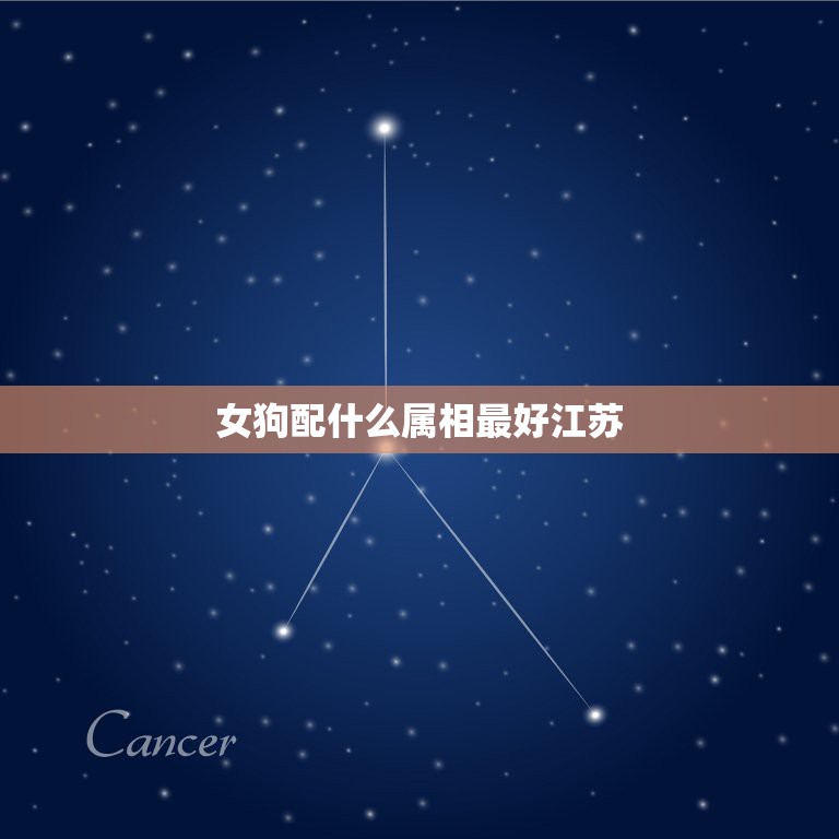 女狗配什么属相最好江苏，94年属狗女配什么属相合适？  第1张