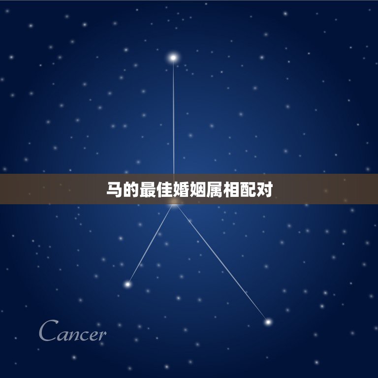 马的最佳婚姻属相配对，1994年属狗的婚配和1996年  第1张