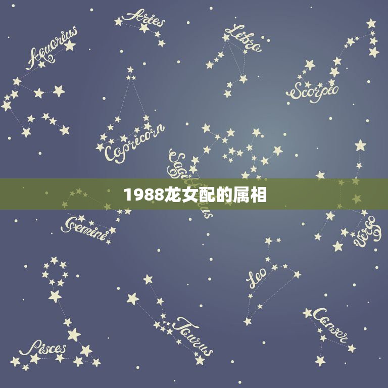 1988龙女配的属相，1988年女龙狮子座和什么生肖最配  第1张