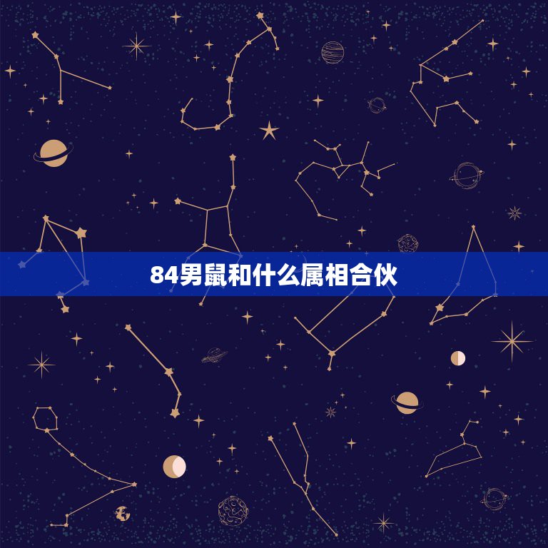 84男鼠和什么属相合伙，属鼠的和什么属相合伙做生意最配最合适呢  第1张