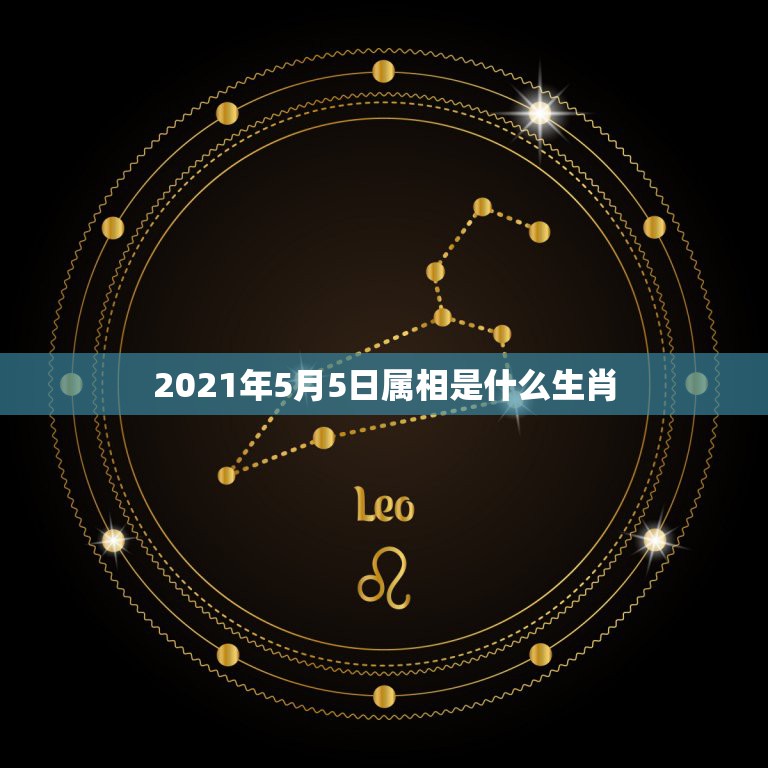 2021年5月5日属相是什么生肖，十二生肖年份表2021  第1张