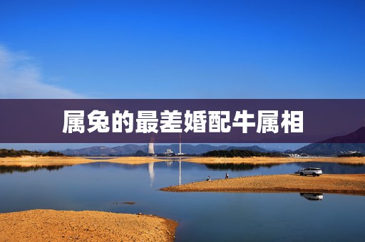 属兔的最差婚配牛属相，男属兔女属牛配吗_兔和牛配吗  第1张