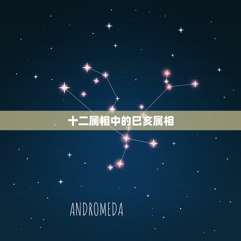 十二属相中的巳亥属相，十二地支相对应十二生肖，亥对应的是什么生肖  第1张