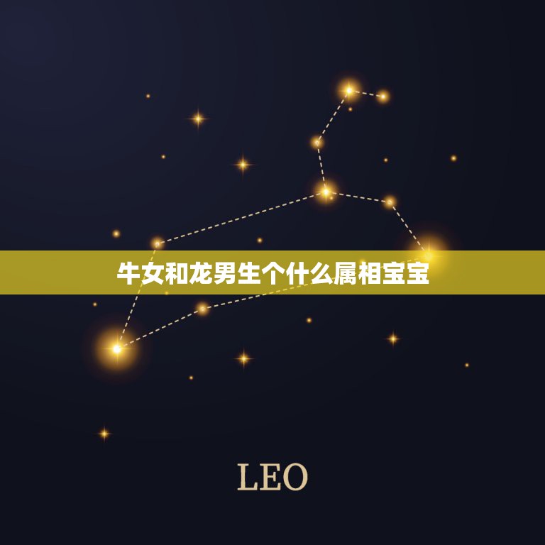 牛女和龙男生个什么属相宝宝，男属龙和女属牛合适吗  第1张