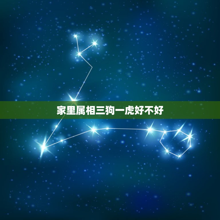 家里属相三狗一虎好不好，狗和虎属相好吗  第1张