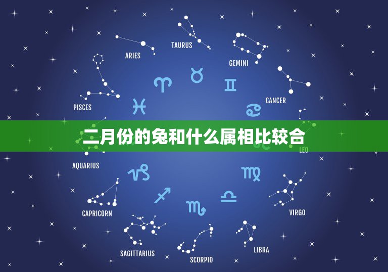 二月份的兔和什么属相比较合，我姐是二月份的兔我是一月份的蛇，我们经常吵  第1张