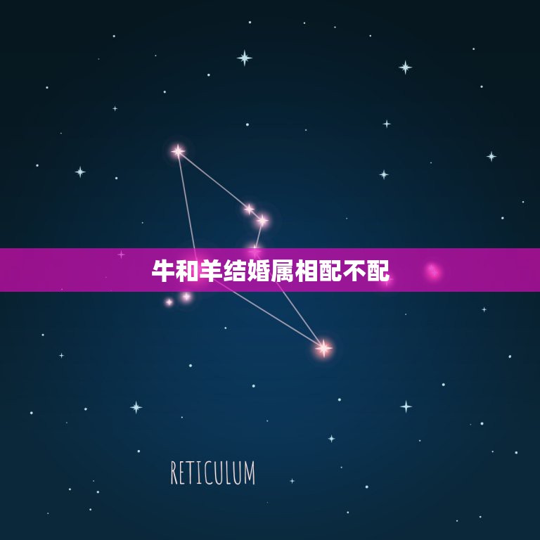 牛和羊结婚属相配不配，属羊和属牛相配吗？有这样的结合的幸福的来报道下  第1张