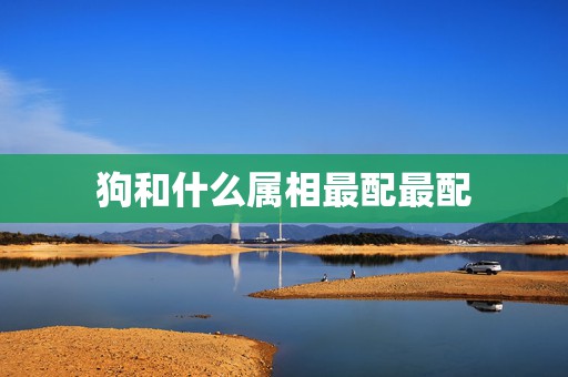 狗和什么属相最配最配，男属狗的和什么属相最配  第1张
