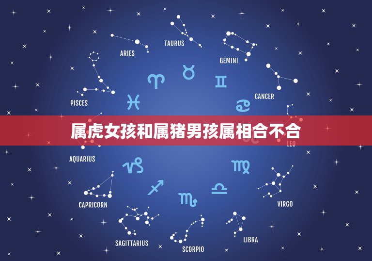 属虎女孩和属猪男孩属相合不合，属猪男与属虎，女五行婚配合适吗还是属相婚  第1张