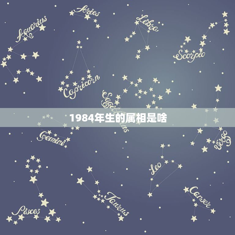 1984年生的属相是啥，我是1984年12月4号出生的，属什么生肖  第1张