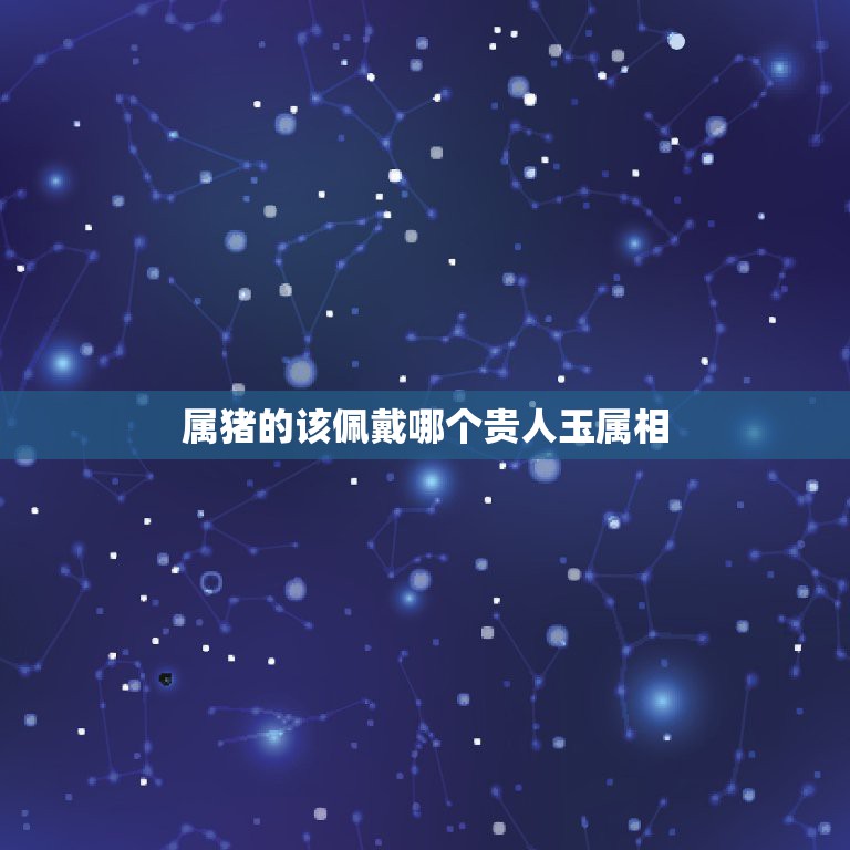 属猪的该佩戴哪个贵人玉属相，属猪的戴什么属相的玉好  第1张