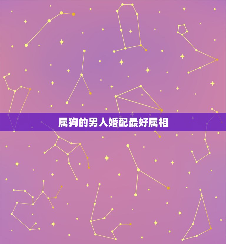 属狗的男人婚配最好属相，男属狗的和什么属相最配  第1张