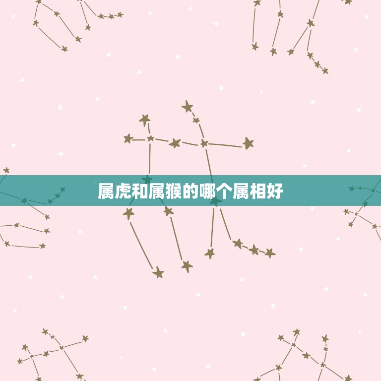 属虎和属猴的哪个属相好，属猴的和属虎的好不好  第1张