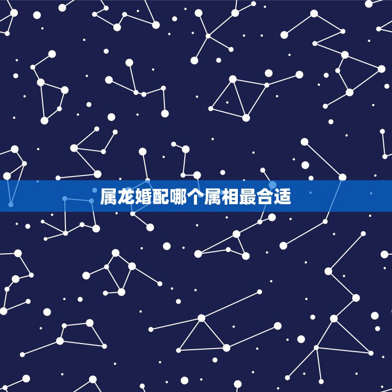 属龙婚配哪个属相最合适，属龙的和什么属相最配？  第1张