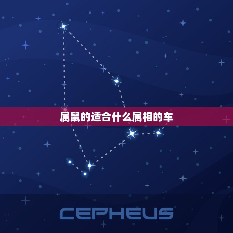 属鼠的适合什么属相的车，属鼠的派什么属相好  第1张