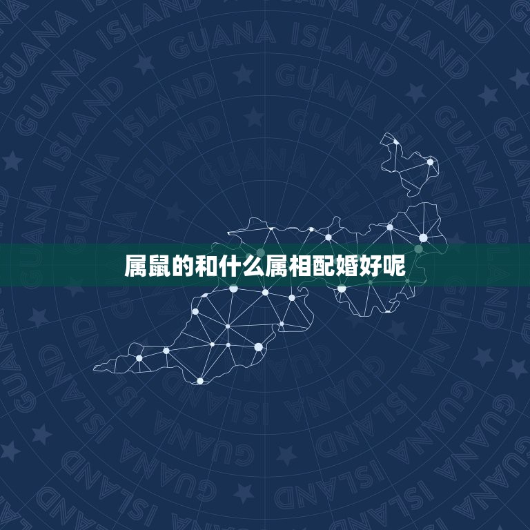属鼠的和什么属相配婚好呢，属鼠和属鼠的婚配好吗  第1张