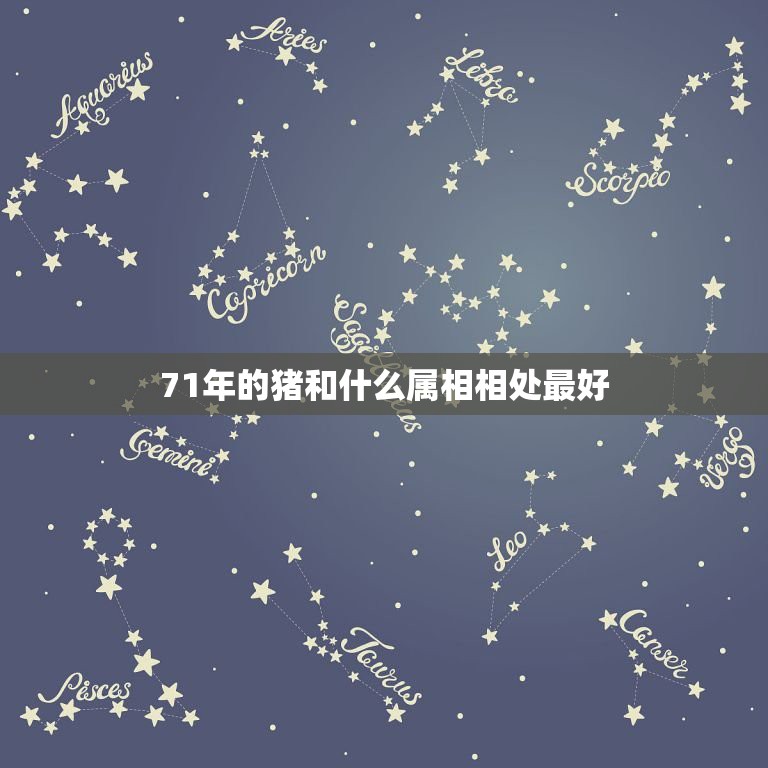 71年的猪和什么属相相处最好，1971年猪与什么属相合作愉快  第1张