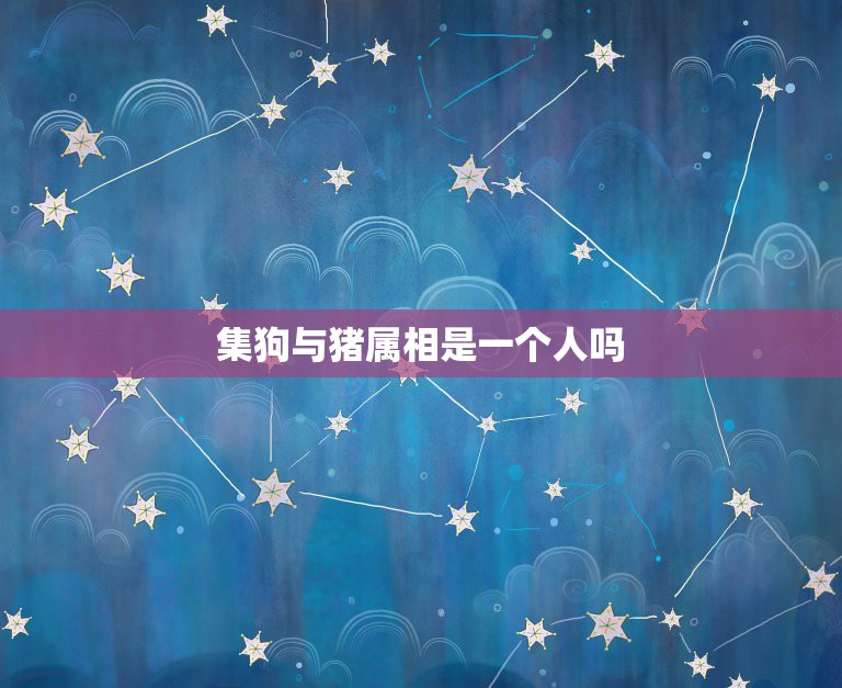集狗与猪属相是一个人吗，狗跟猪属相是不是不合  第1张